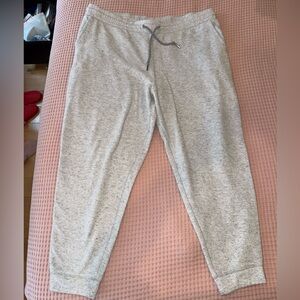 EXPRESS fleece joggers